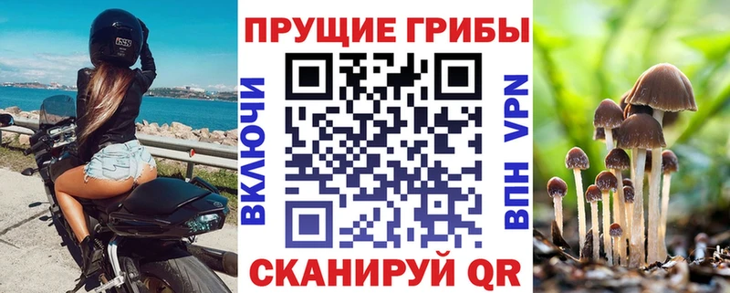 Галлюциногенные грибы мухоморы  Карасук 