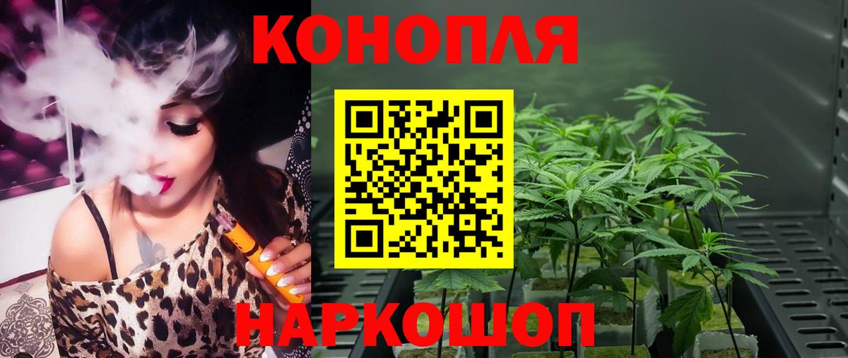 Конопля марихуана  Каннабис сатива  Вход с VPN  Карасук  Шишки марихуана индика 